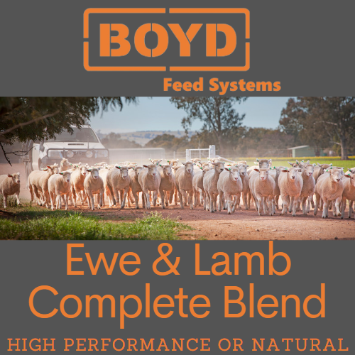 Ewe & Lamb Complete Blend