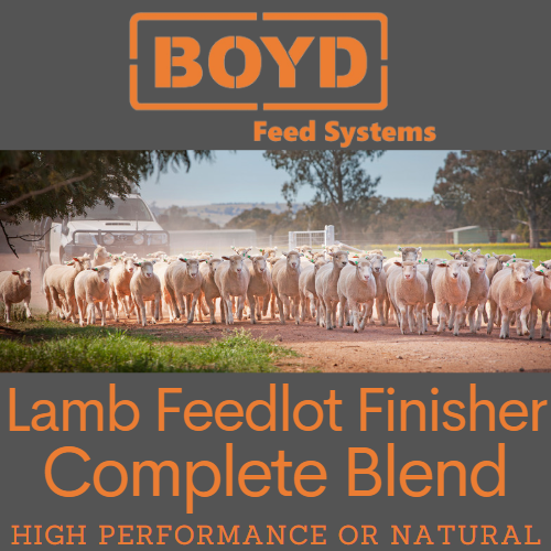 Lamb Feedlot Finisher Complete Blend